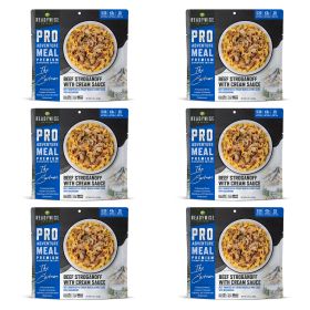 6 CT ReadyWise Pro Adventure Meal Beef Stroganoff with Mushroom Cream Sauce